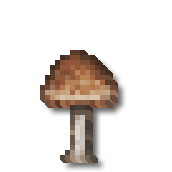 Champignon Brun}}