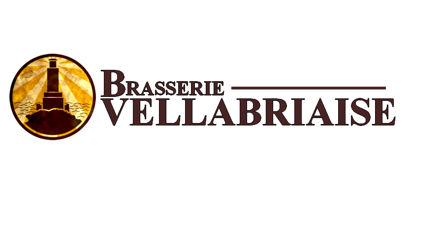 Logo VB.png