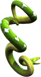 Serpent 03.png