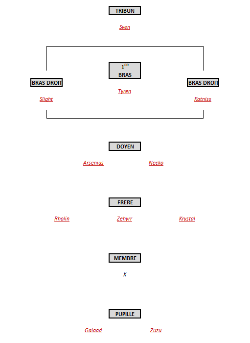 Hiérarchie de la famille Zerua