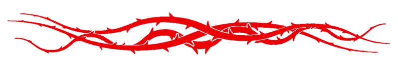 Fichier:SéparateurRR.png