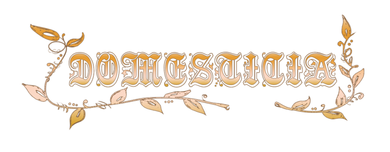 Fichier:Logo domesticia.png