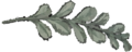 Plante 1.png