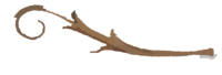 Plante7.png