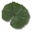 Grille Nénuphar.png