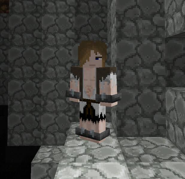 Fichier:Skin.jpg