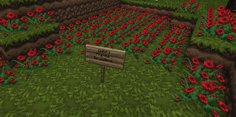 Fichier:Bruyère.png