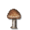 Un champignon brun.
