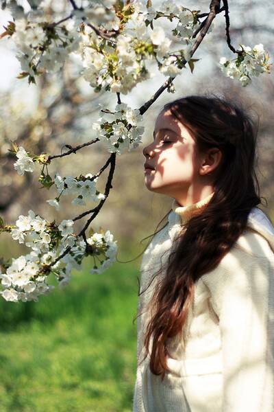 Fichier:Eleonoora2.jpg