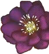 Broche à fleur rouge et violette.png