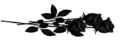 Vignette pour la version du 22 juin 2015 à 20:47