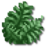 Botanique.png