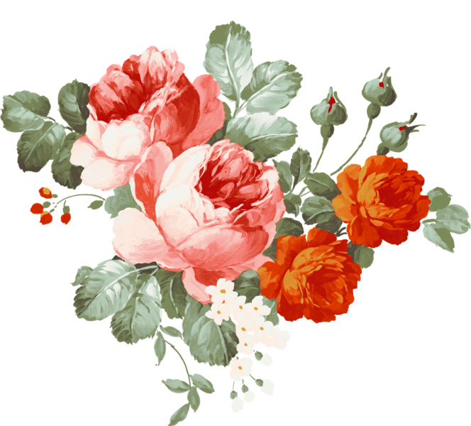 Fichier:Fleur kath.png