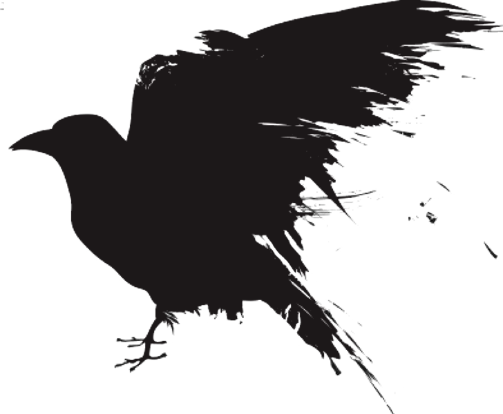 Fichier:CorbeauCORVUS.png