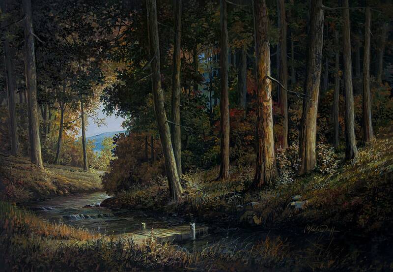 Fichier:Forêt.jpg