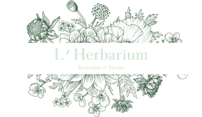 HerbariumLogo.png