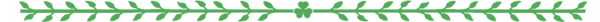 Séparator Ciaran.png