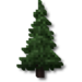 Grille Pousse de Sapin.png