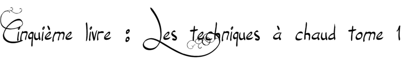 Fichier:Guidebonverriercinquiemelivre.png