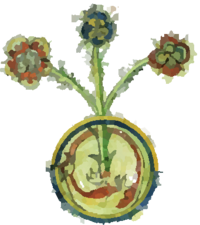 Plante2.png