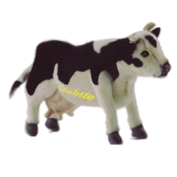 Une peluche de vache, brodée "Ciboulette" sur le ventre, posée sur le bureau
