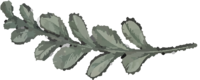 Plante12.png