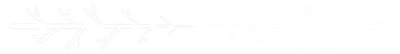 Divider.png