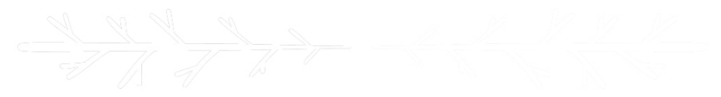 Fichier:Divider.png