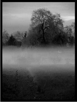 Brume champ.jpg