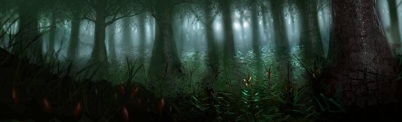 Fichier:Foretsombre.jpg