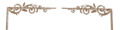 Plante header.png