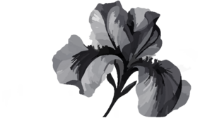 Plante5.png