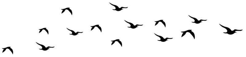 Fichier:Nuée2.png