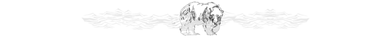 Fichier:Kalyn 3.png