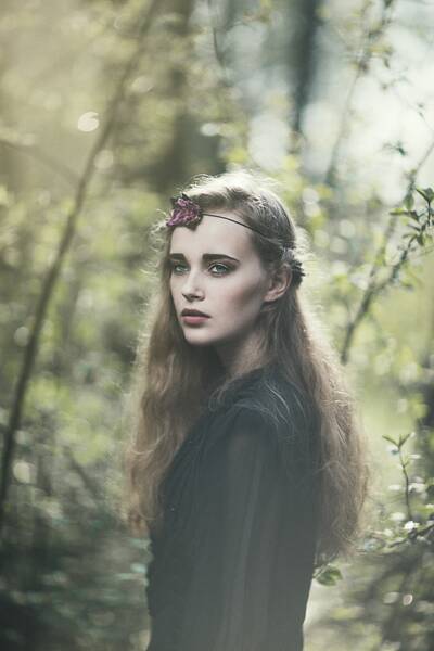 Fichier:Autumn shine by emilysoto-d6vs3mb.jpg